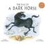 Book cover image: The Tale of a Dark Horse