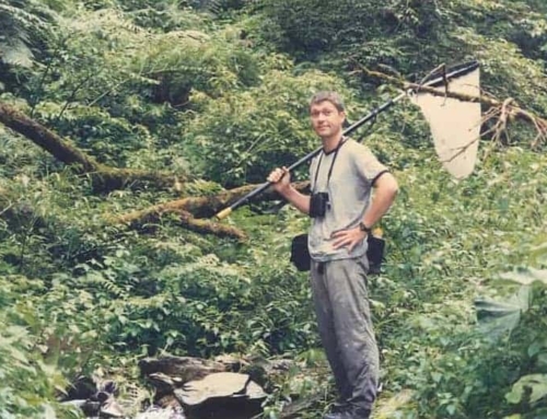 Book excerpt: Confessions of a Hong Kong Naturalist