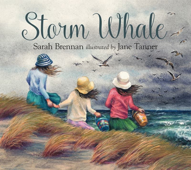 Book cover image: Storm Whale